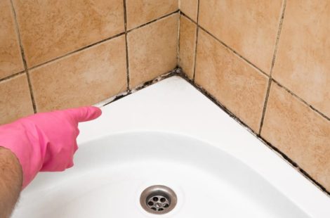 Tips to get Rid of Bathroom Mildew by Puget Sound Plumbing & Heating