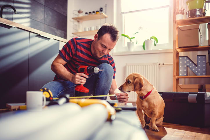 Man in a striped tee measuring and drilling with a dog sitting next to him