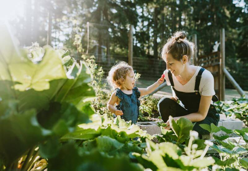 Family harvesting vegetables