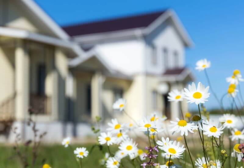 Flowers in front of house