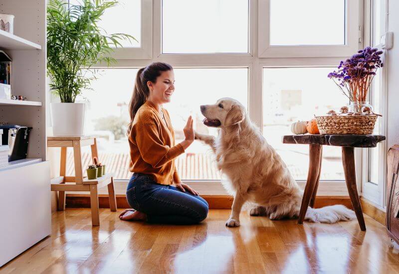 Woman with Golden Retriever