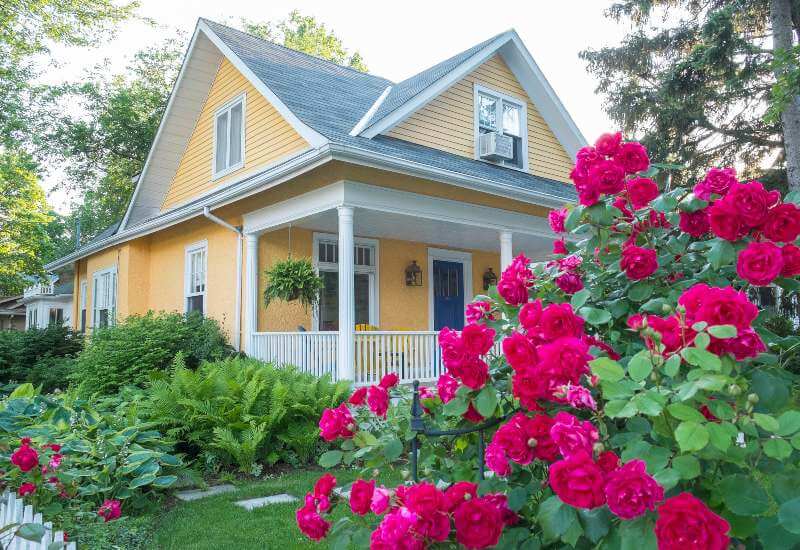 Yellow House with Pink Flowers