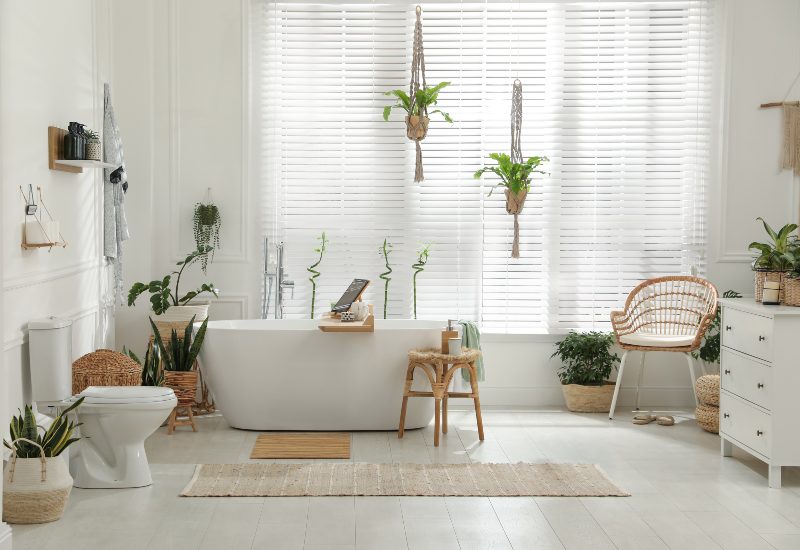 White bathroom with house plants throughout