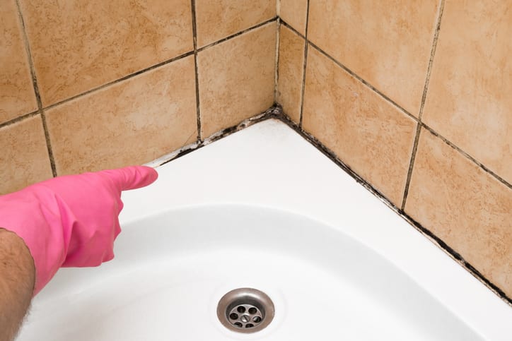 Hand pointing to black mold in shower corner