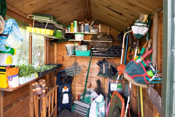 A backyard shed full of equipment in Seattle, Washington