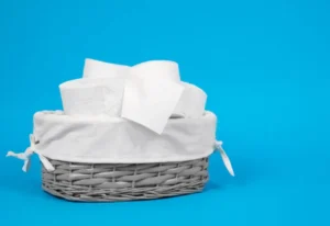 A basket of different types of plumbing-safe toilet paper