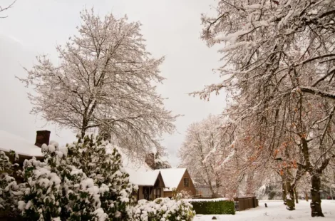 Homes in Seattle, Washington, that are prepared for colder weather