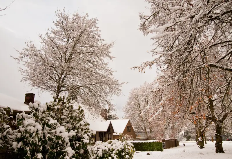 Homes in Seattle, Washington, that are prepared for colder weather